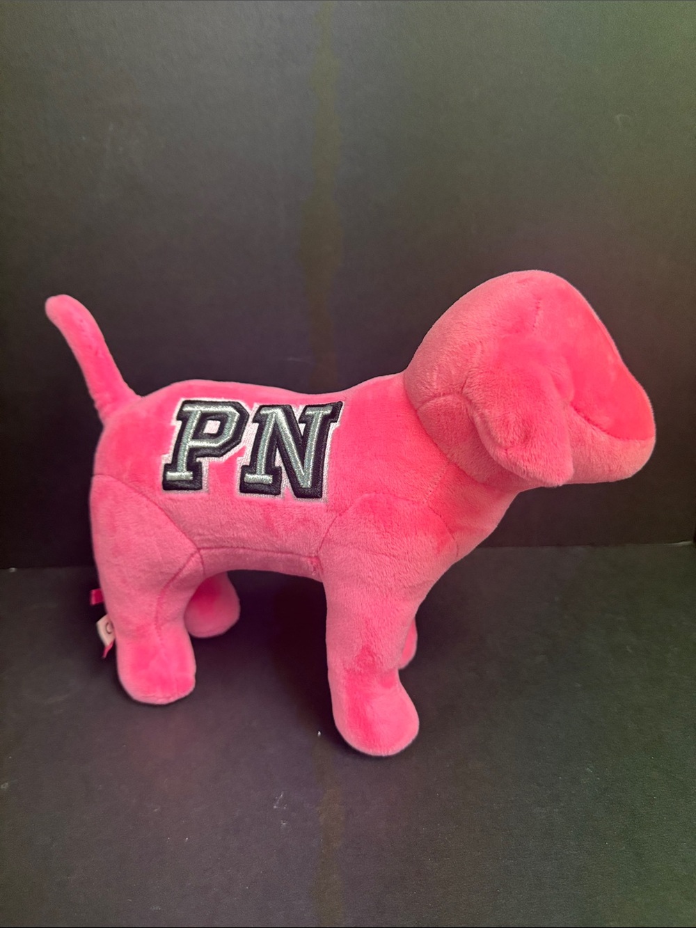 Pink Nation Dog